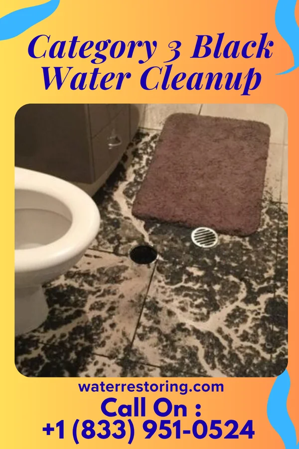 Category 3 Black Water Cleanup in Farber, MO